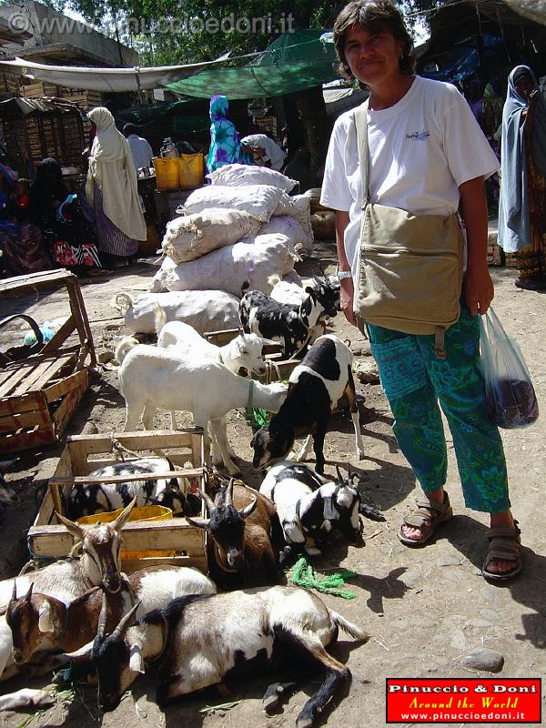 Djibouti - il mercato di Gibuti - Djibouti Market - 63.jpg